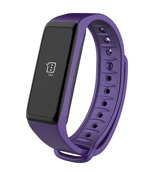 ZeFitII-Purple-large-2